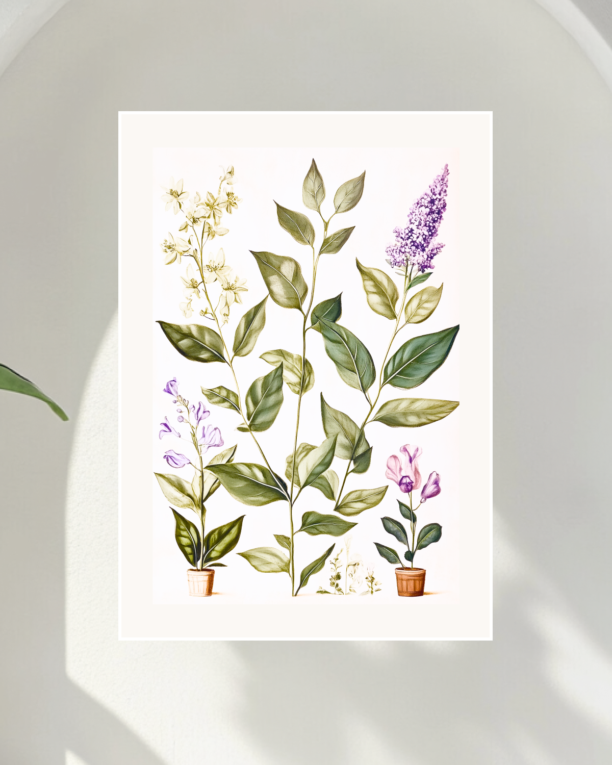 Lavender Season