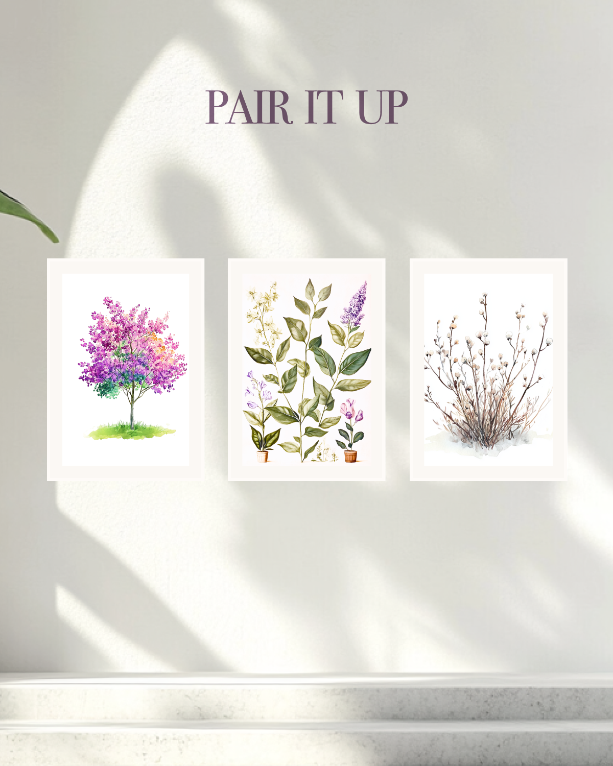 Lavender Season