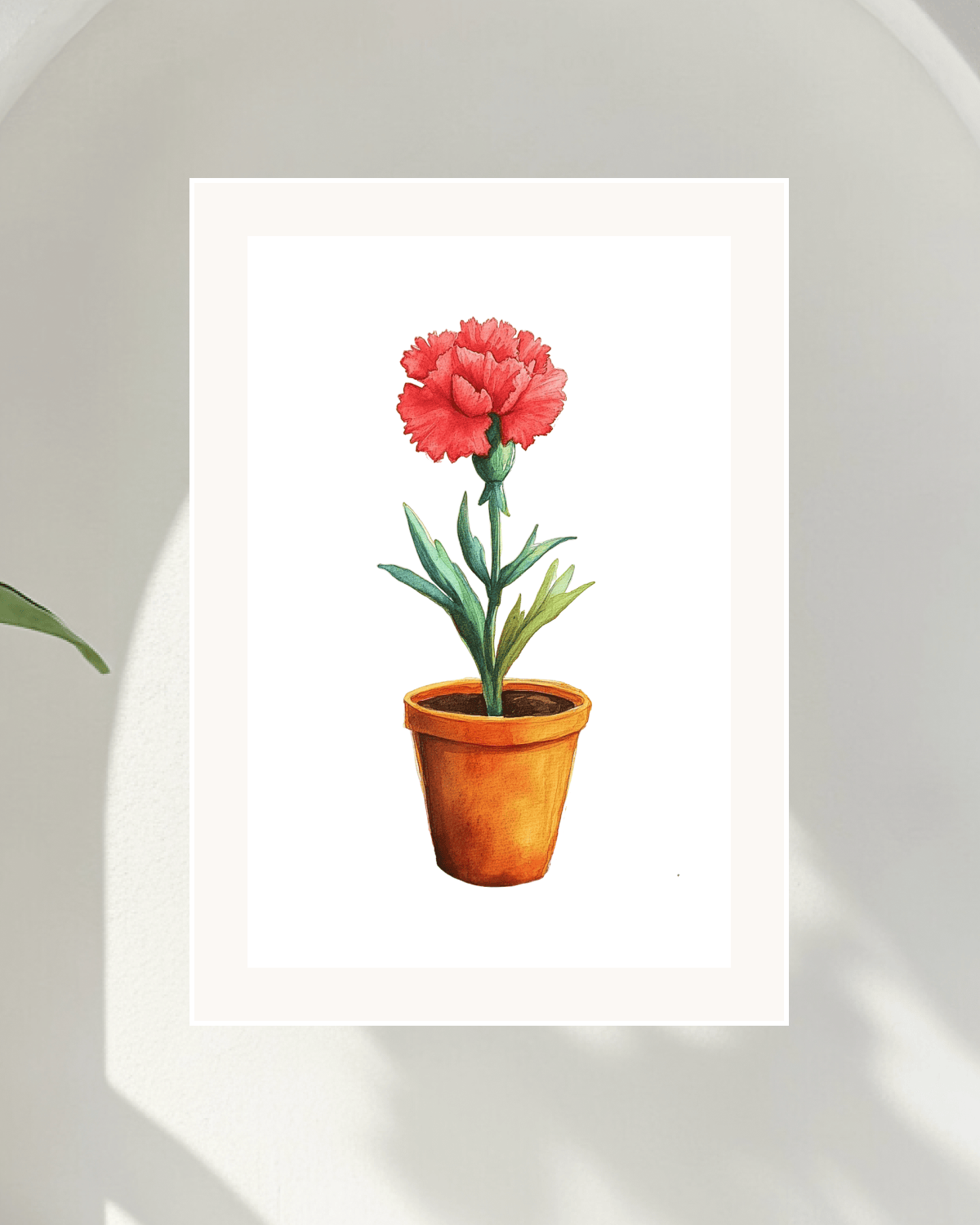 Carnation Joy