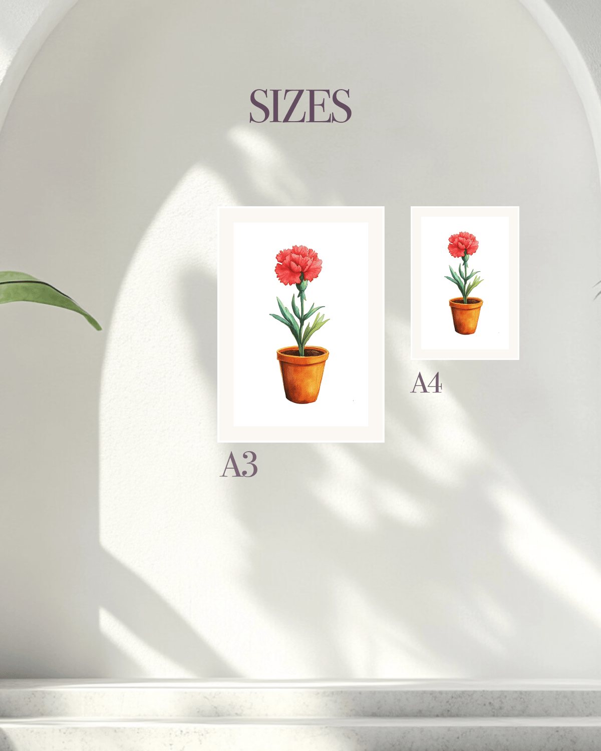 Carnation Joy