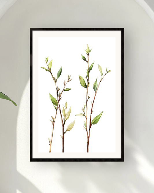 Sprouts of Spring