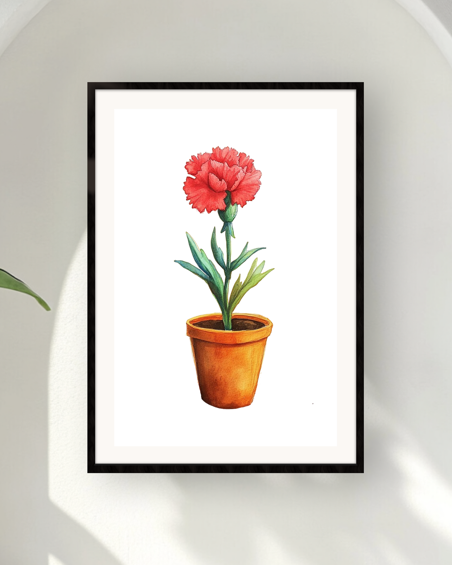 Carnation Joy