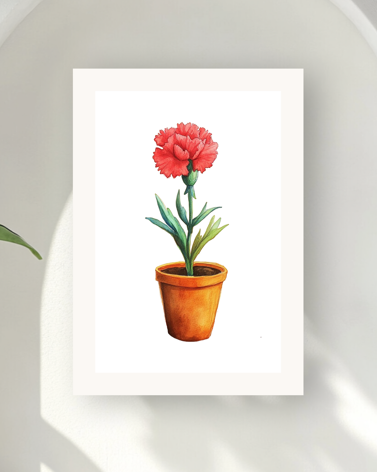 Carnation Joy