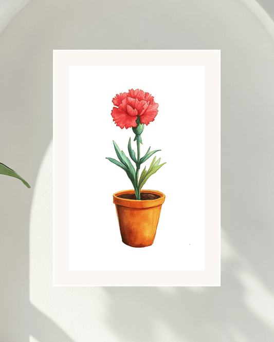 Carnation Joy