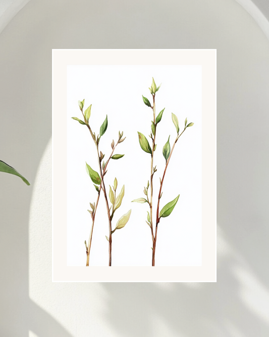Sprouts of Spring